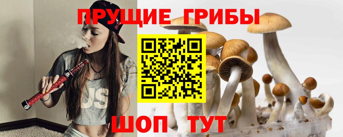 Аргун  Псилоцибиновые грибы прущие грибы  Вход с VPN 